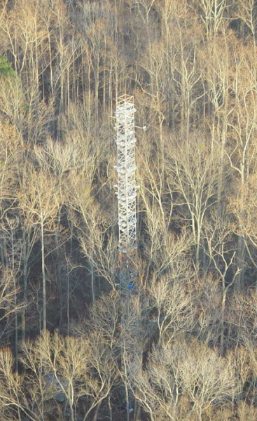 View looking down from the top of a flux tower into the surrounding forest