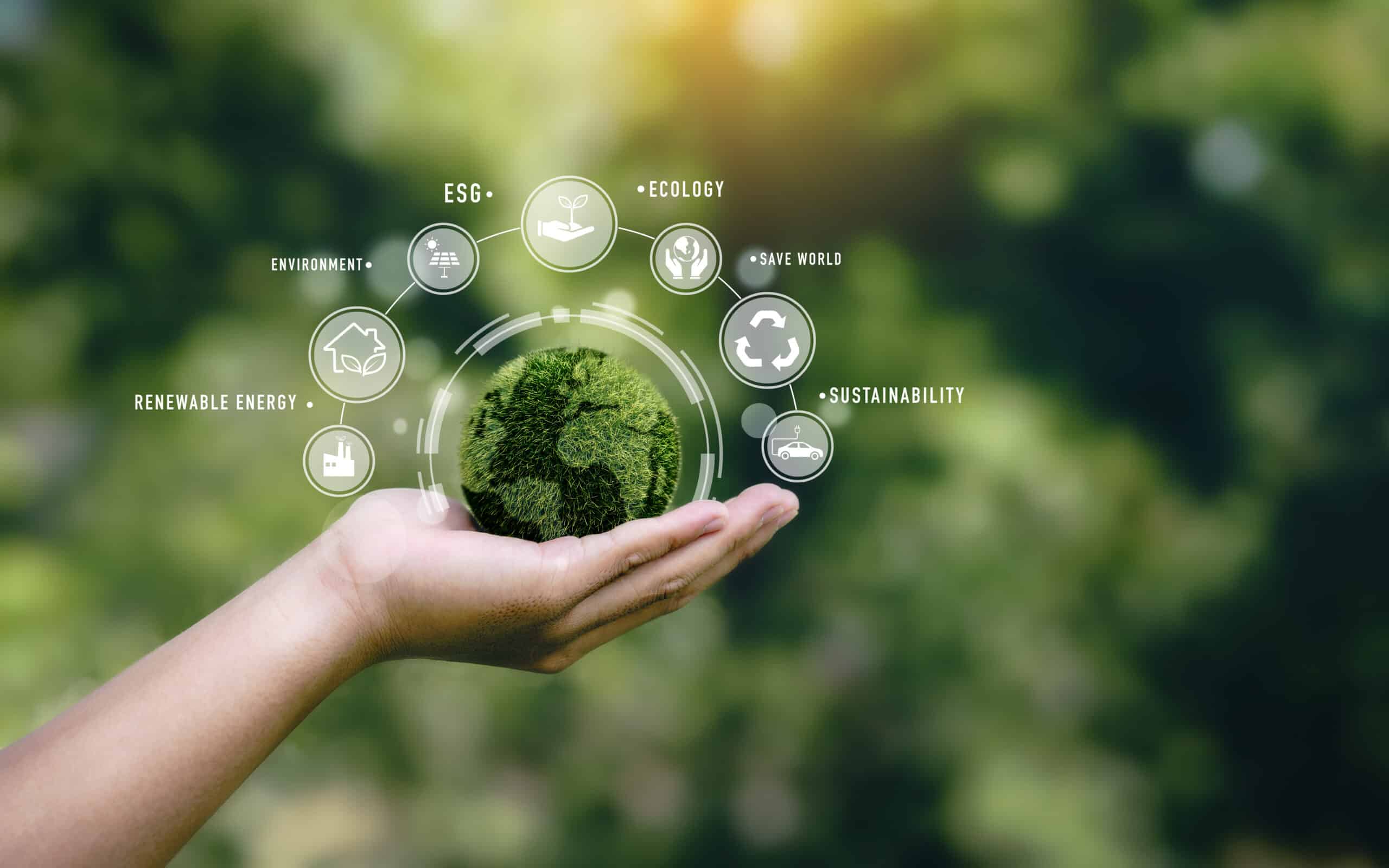 a hand holds a green globe